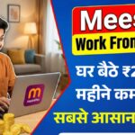 Meesho Work From Home